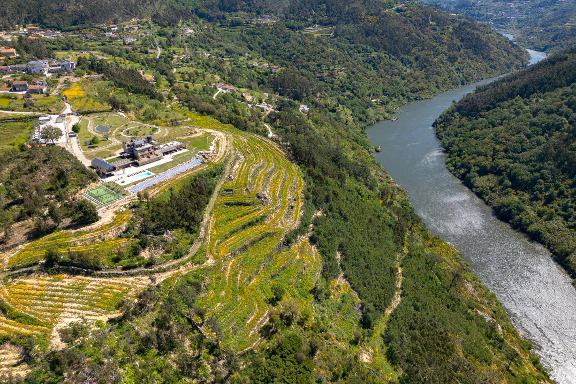 Quinta De Cabanas Douro Country House Penha Longa Zewnętrze zdjęcie